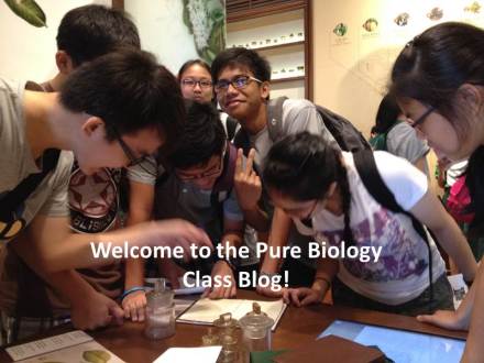 Intro biology blog